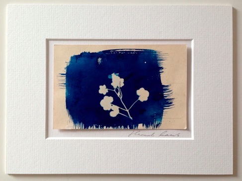 LAMB, Hannah. Sprig Print