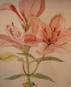 STEWART, Kate pink lilly own website