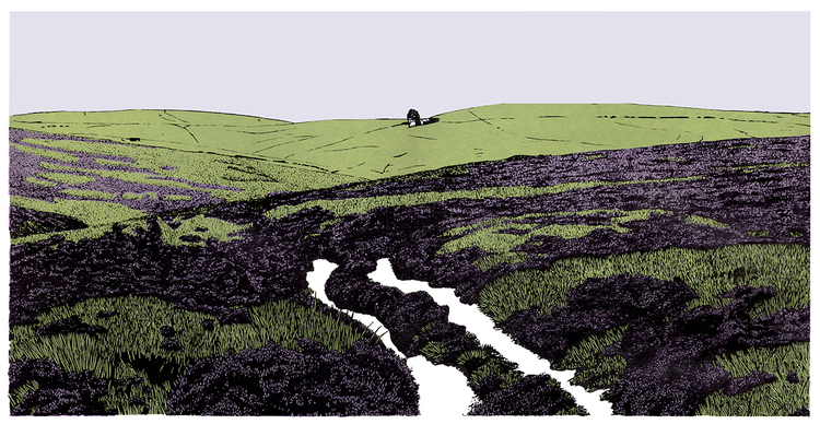 HARRIS, Sarah. Top+Withens+Through+the+Heather+1mb