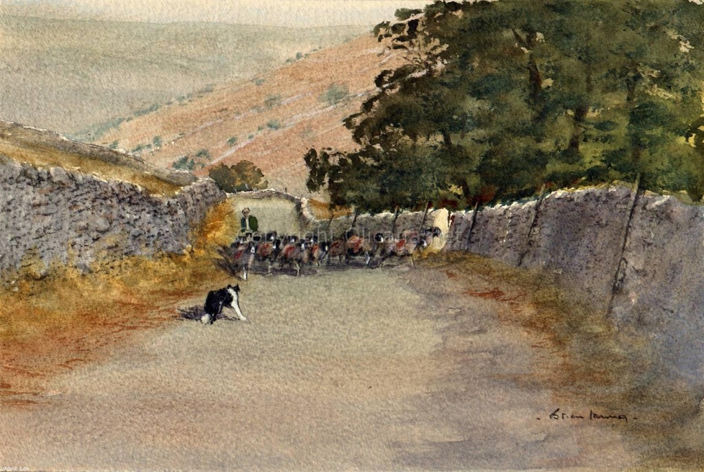 IRVING, Brian. Herding sheep