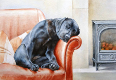 JOHNSON, Debbie. Dog