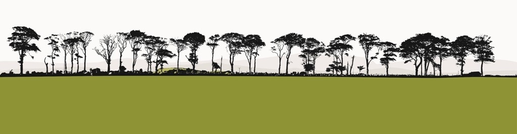 jacky-al-samarraie-northumberland-landscape