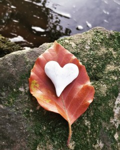 SEDGWICK, Jane. Heart